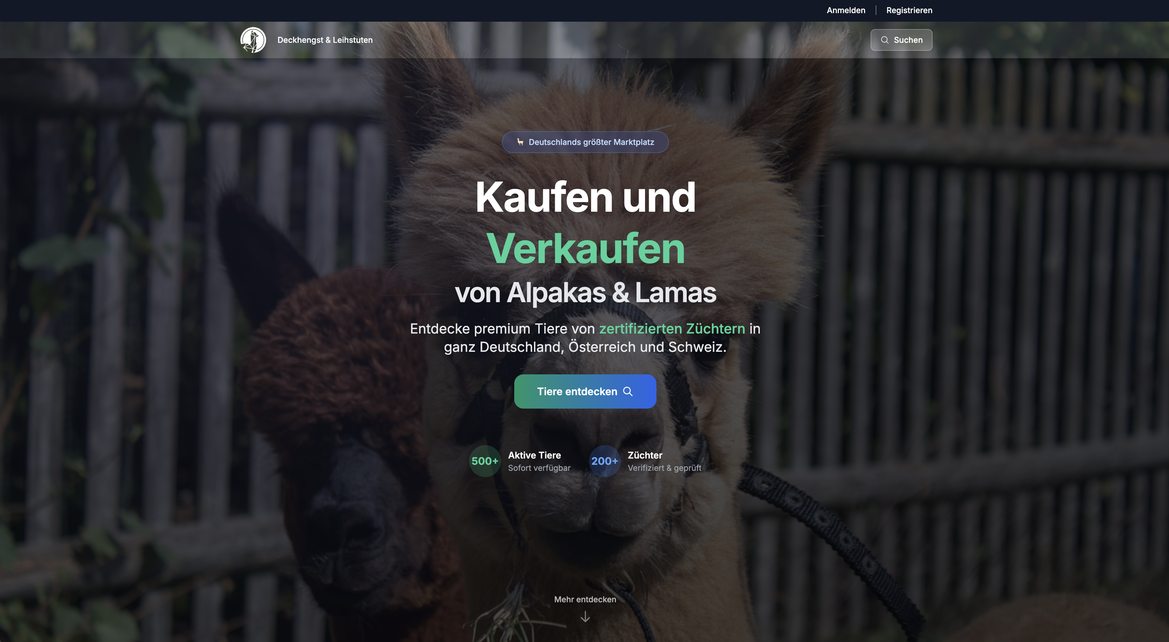 Alpaca Store Plattform