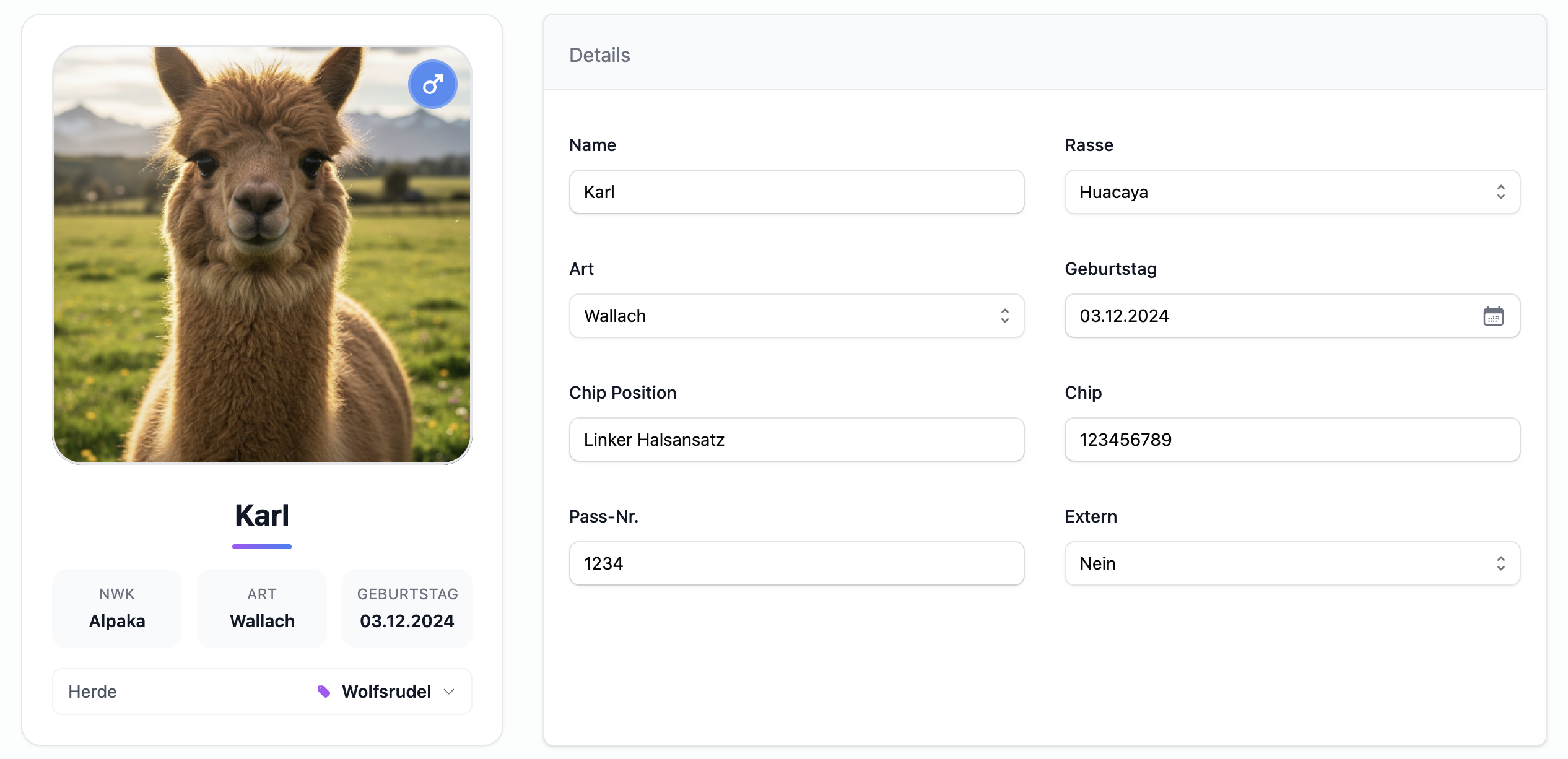 Übersicht Alpaka Profil