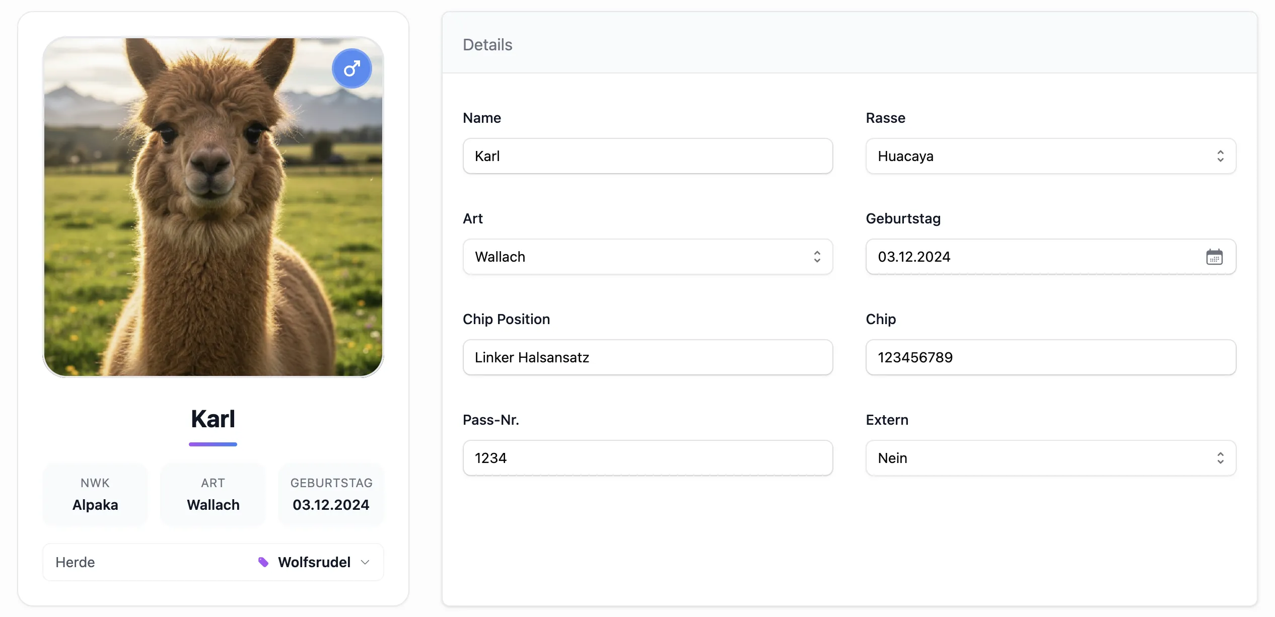 Übersicht Alpaka Profil