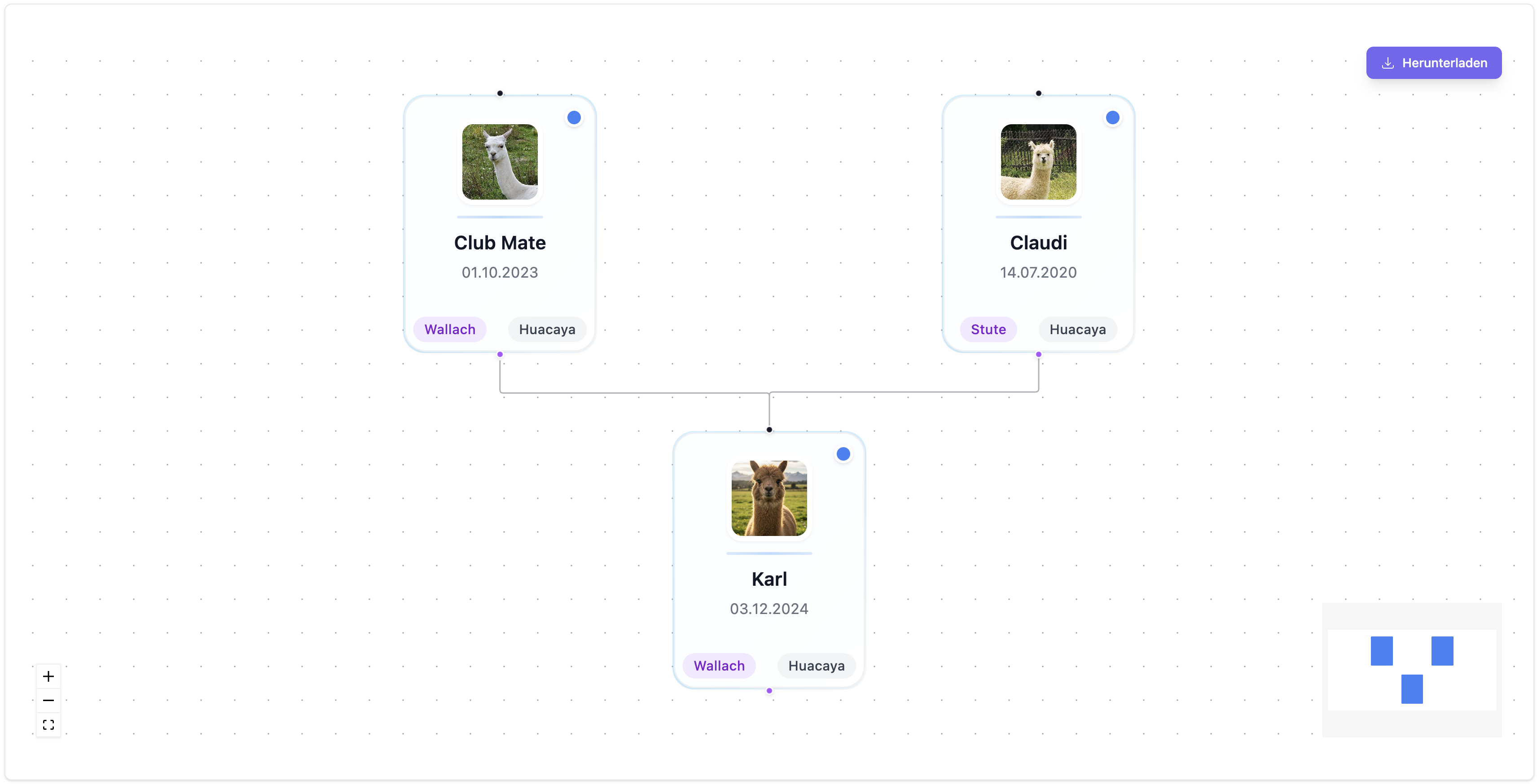 Stammbaum Übersicht