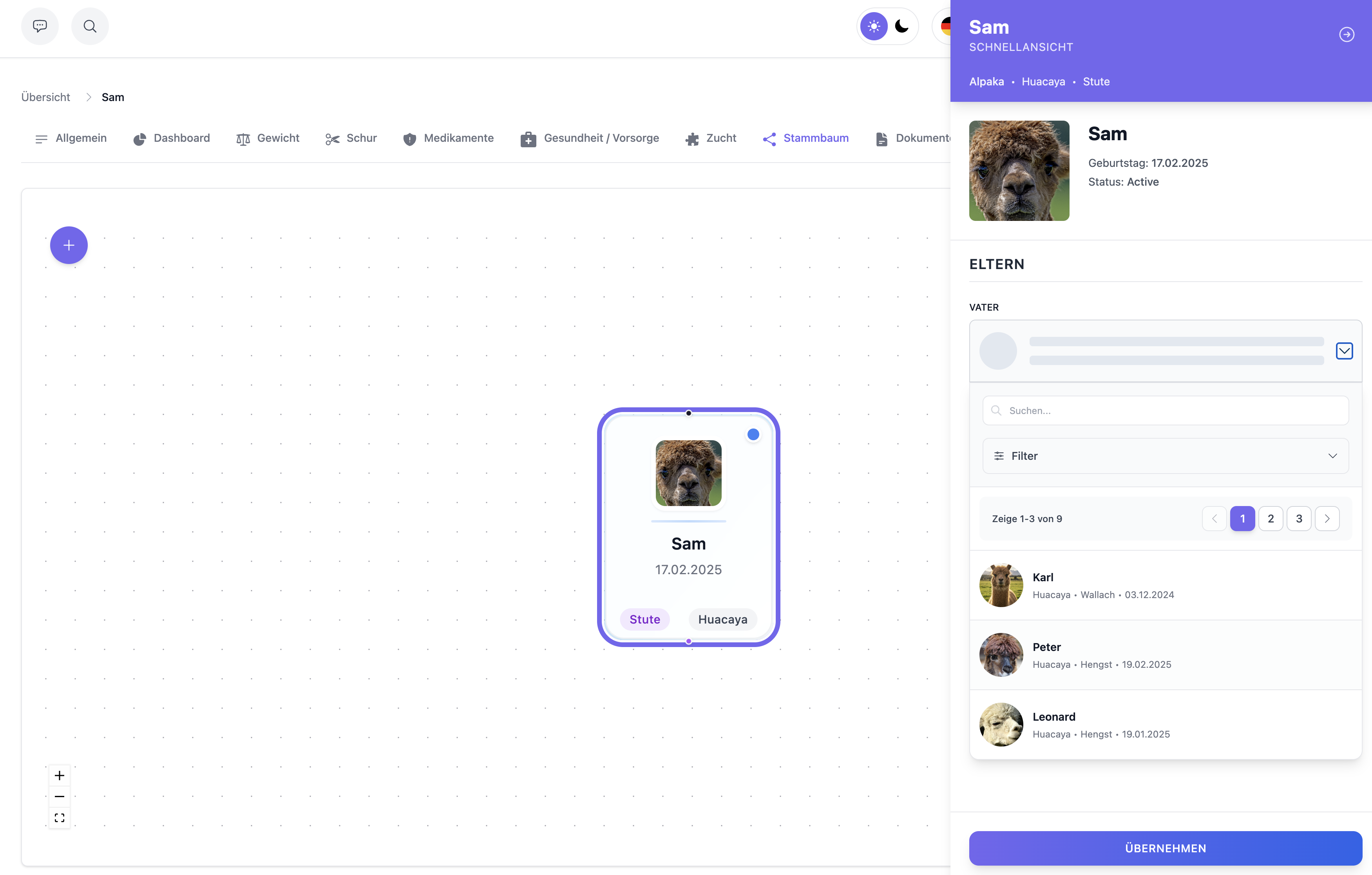 Stammbaum Detailansicht